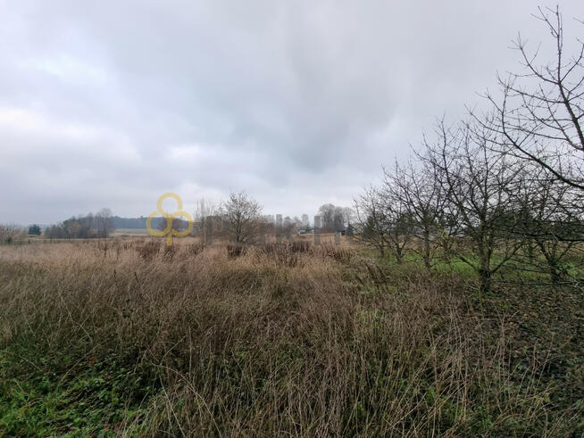 Działka budowlana Kłoda Górowska gm. Góra,