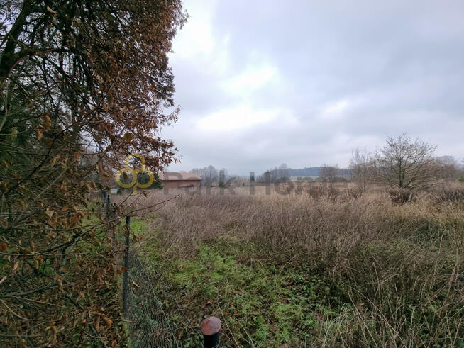 Działka budowlana Kłoda Górowska gm. Góra,