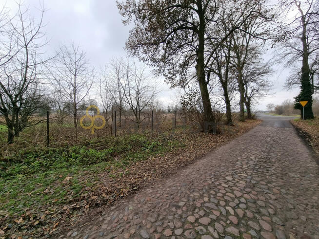 Działka budowlana Kłoda Górowska gm. Góra,