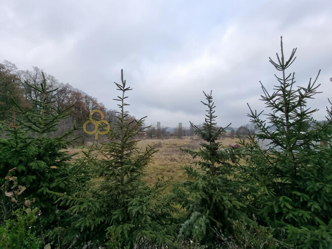 Działka budowlana Kłoda Górowska gm. Góra,