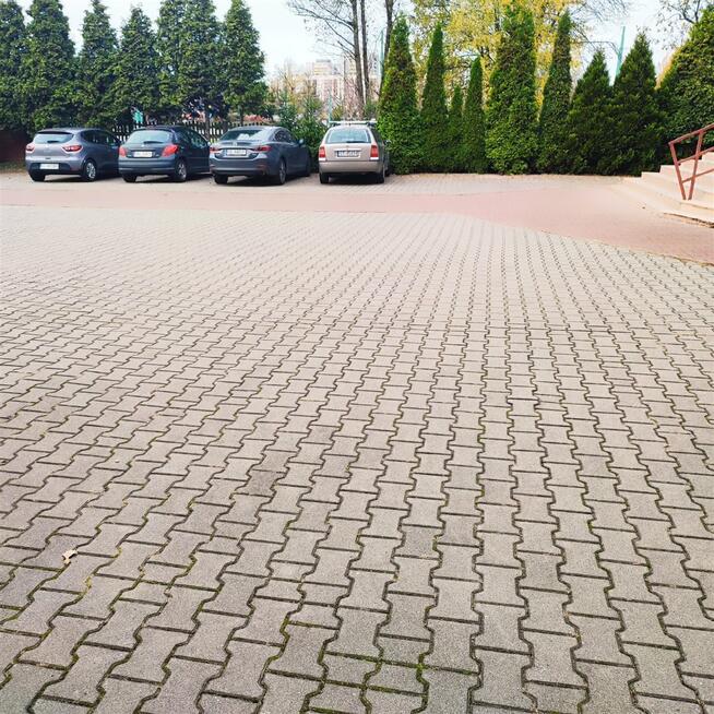 Lokal użytkowy Tychy P