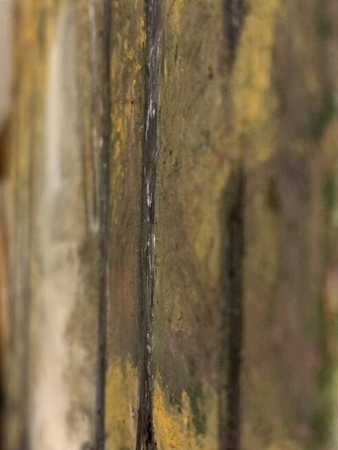 Jesienny las autorski olejny 40/50