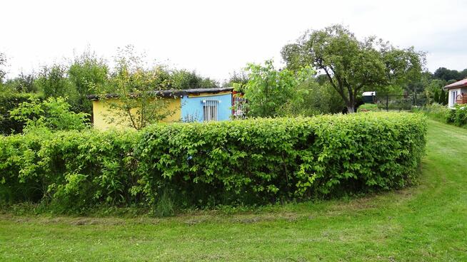 Piła Działka ROD 448m2 Różyckiego