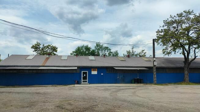 Wynajmę przestrzeń magazynową PLAC + HALA + BURO