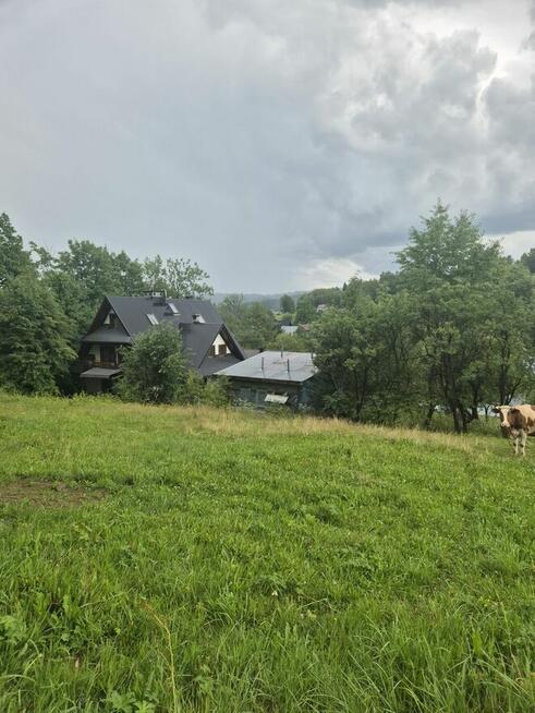 3 działki budowlane w Brzegach