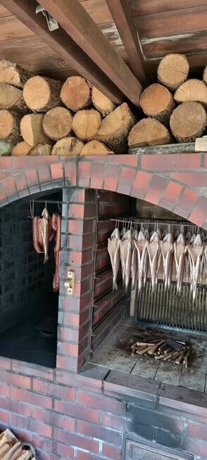 zielone szkoły, wycieczki szkolne, integracja, kolonie, lato