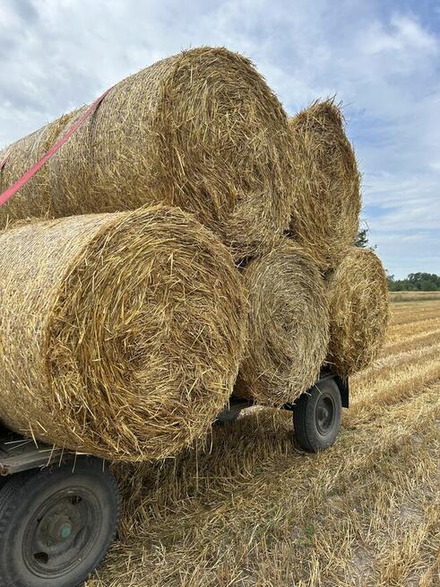 Sprzedam słomę w belach