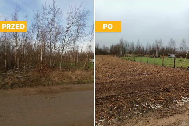 Porządkowanie Działek, Wycinka Drzew, Karczowanie, Mulczowan