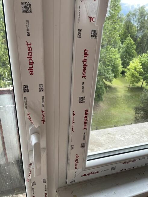 zielona okolica, nowe okna