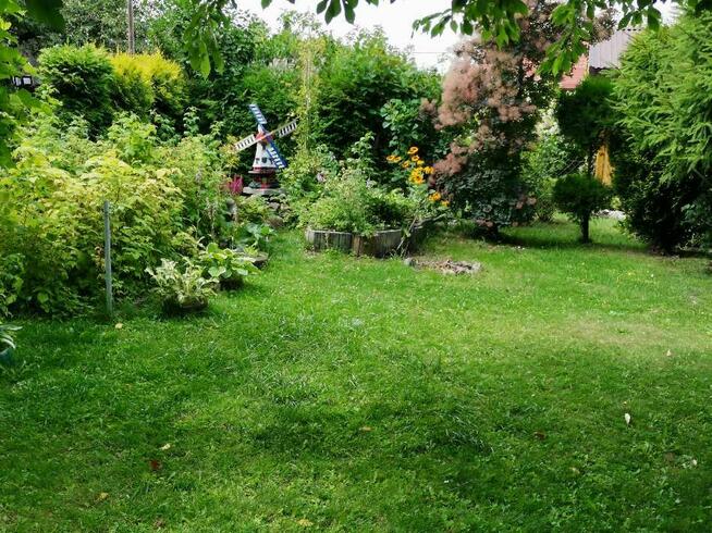 Działka ROD z domkiem