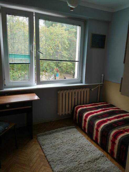 Pokój jednoosobowy do wynajęcia