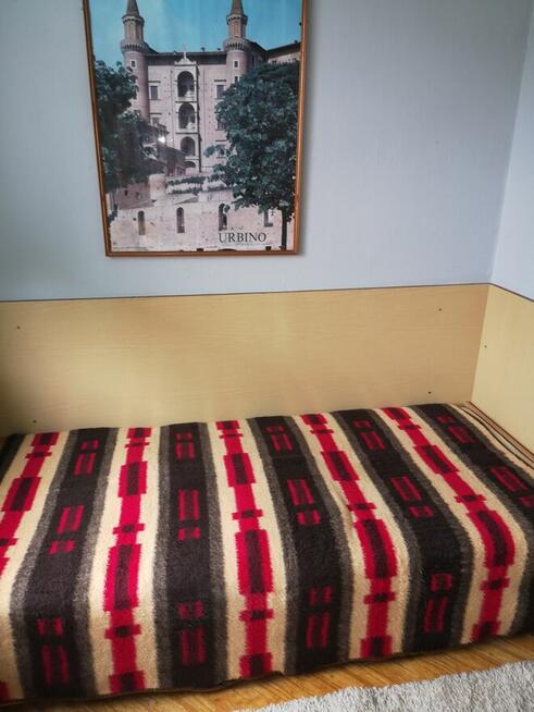 Pokój jednoosobowy do wynajęcia