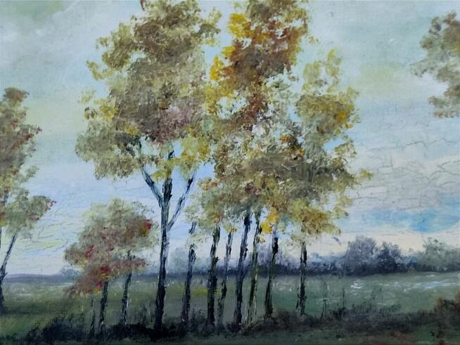 Pejzaż Jesienny Klimatyczny Landscape Obraz Olejny 30/40