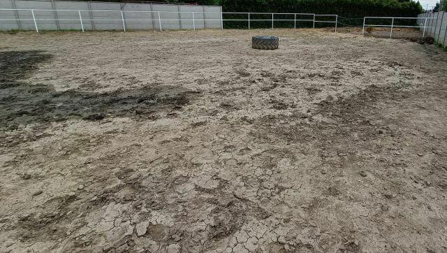 Gospodarstwo, siedlisko na sprzedaż