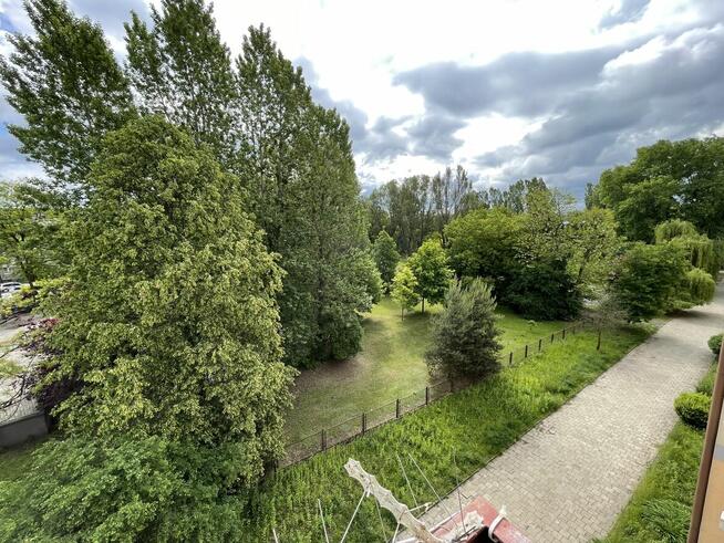 zielona okolica, nowe okna