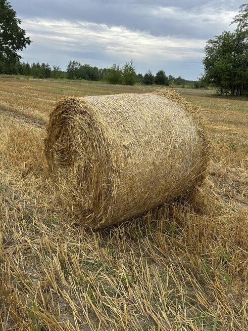 Sprzedam słomę w belach