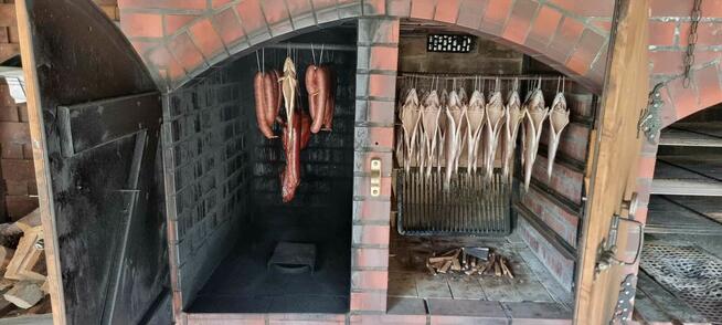 zielone szkoły, wycieczki szkolne, integracja, kolonie, lato