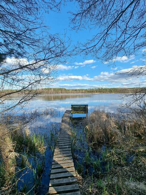 zielone szkoły, wycieczki szkolne, integracja, kolonie, lato