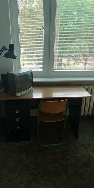 Pokój jednoosobowy do wynajęcia