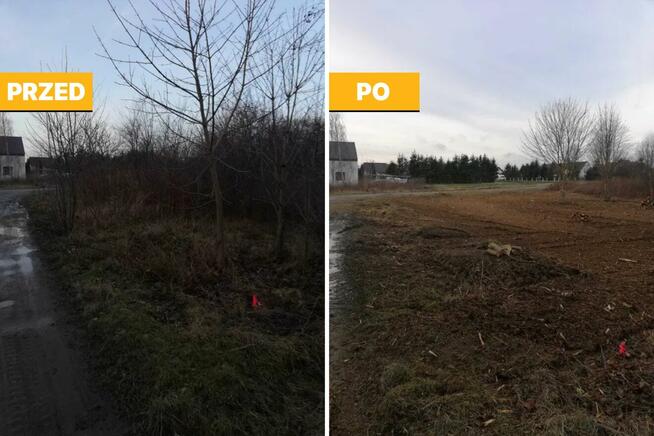 Porządkowanie Działek, Wycinka Drzew, Karczowanie, Mulczowan