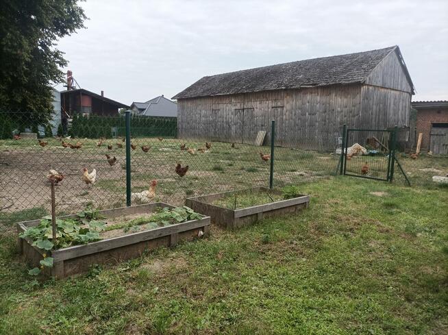 Sprzedam siedlisko NOWA CENA