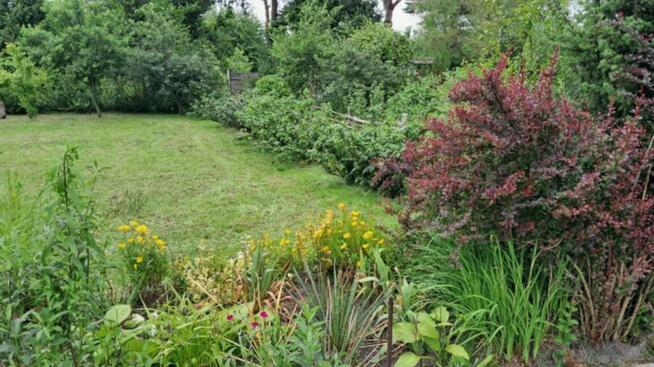 Ogródek działkowy ROD