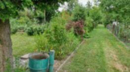 Ogródek działkowy ROD