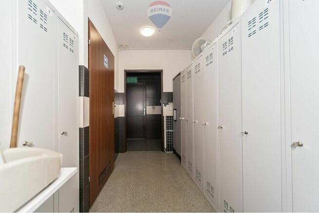 Hala - Sprzedaż - Czaniec blisko DK52