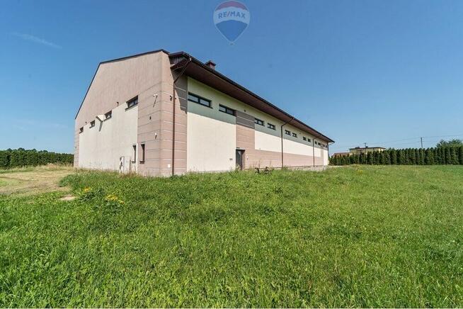 Hala - Sprzedaż - Czaniec blisko DK52