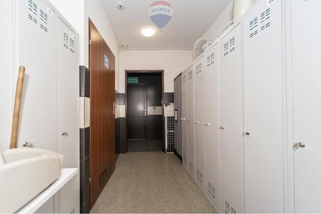 Hala - Sprzedaż - Czaniec blisko DK52