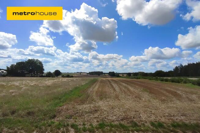 Na sprzedaż działka marzeń pod Skierniewicami