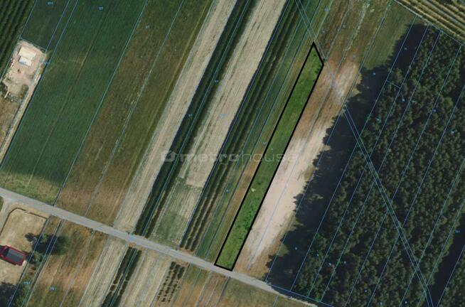 Na sprzedaż działka marzeń pod Skierniewicami