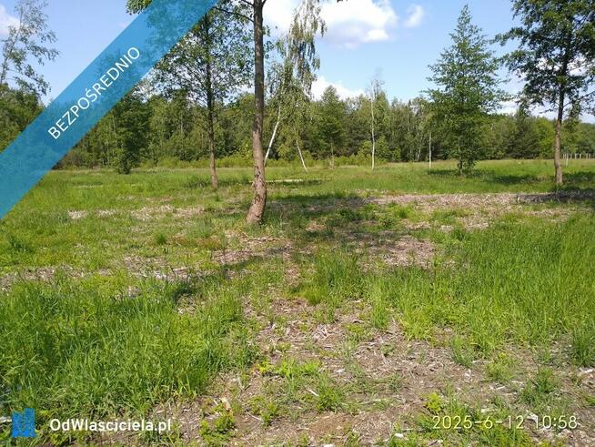 Działka przy parku krajobrazowym
