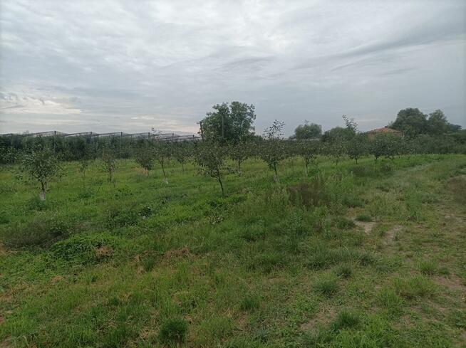 Sprzedam siedlisko NOWA TAŃSZA CENA