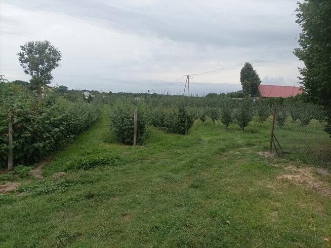 Sprzedam siedlisko NOWA CENA