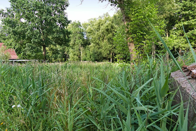 Działki pod zabudowę mieszkaniową w Białowieży.