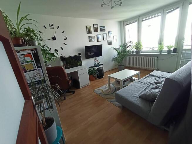 Mieszkanie 3 pokoje Bielany wynajem