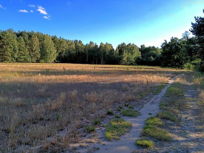 Działki z warunkami zabudowy - 1200 m2, Franciszków