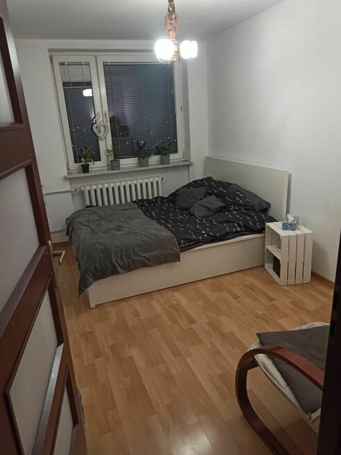 Mieszkanie 3 pokoje Bielany wynajem