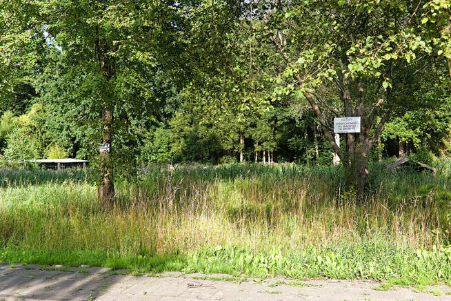 Działki pod zabudowę mieszkaniową w Białowieży.