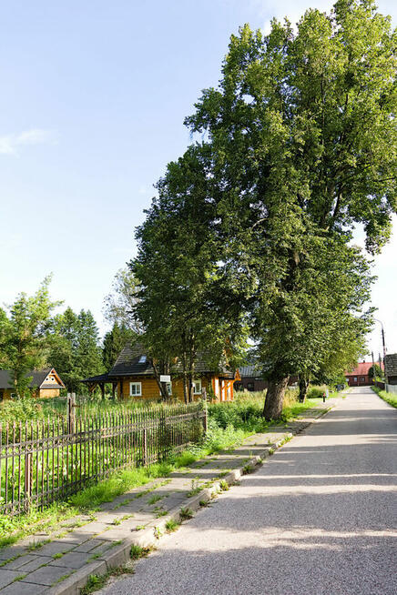Działki pod zabudowę mieszkaniową w Białowieży.
