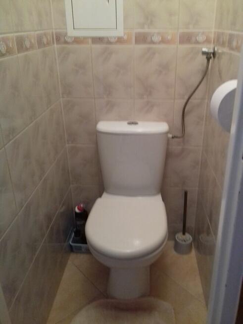 wynajmę pokoje w mieszkaniu cztropokojowym blisko U.M .