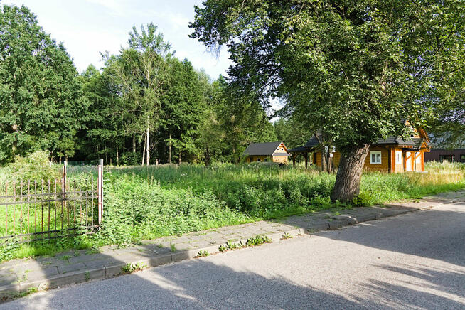 Działki pod zabudowę mieszkaniową w Białowieży.