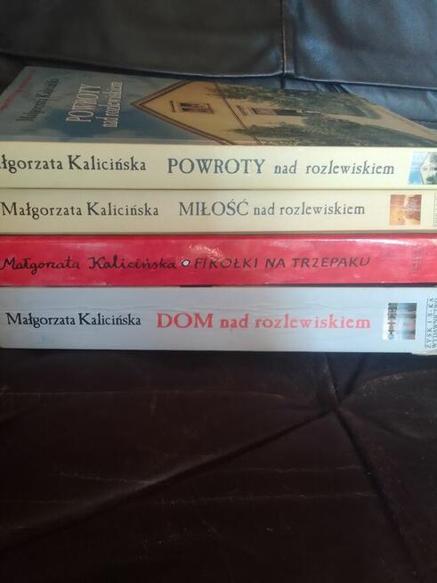 Dom nad rozlewiskiem...