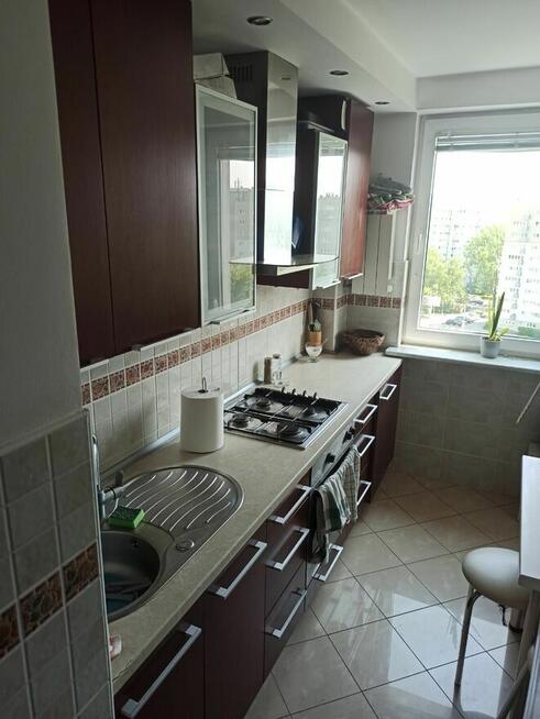 Mieszkanie 3 pokoje Bielany wynajem