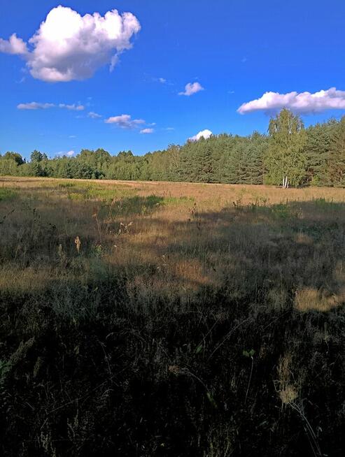 Działki z warunkami zabudowy - 1200 m2, Franciszków