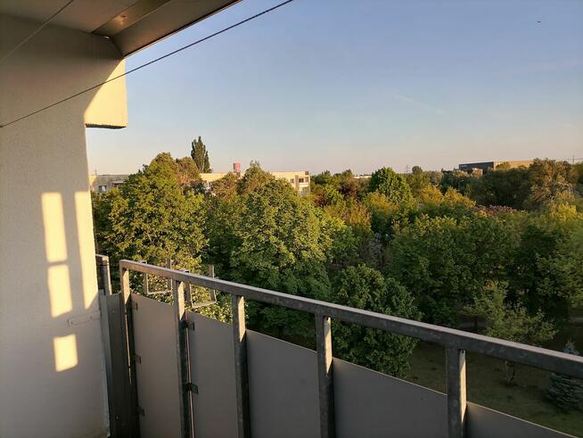 Mieszkanie bez pośredników