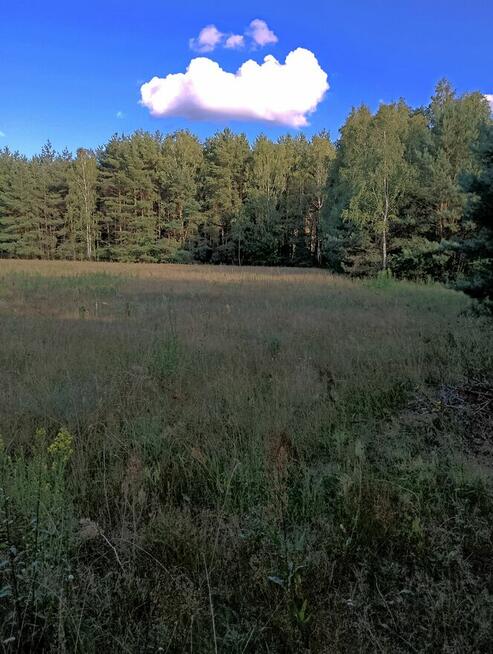 Działki z warunkami zabudowy - 1200 m2, Franciszków