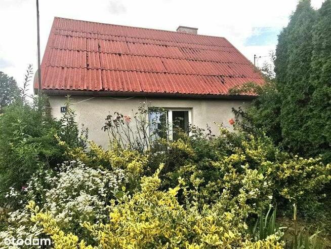 Dom na sprzedaż, Osiek Mały