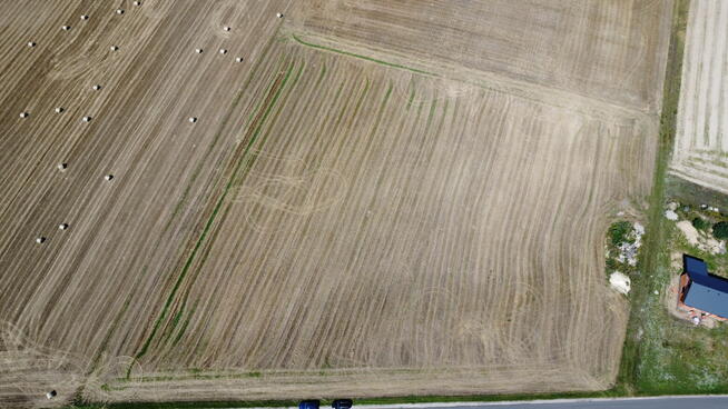 Oferta sprzedaży działki – Dziedzice, gmina Lądek (obręb 302